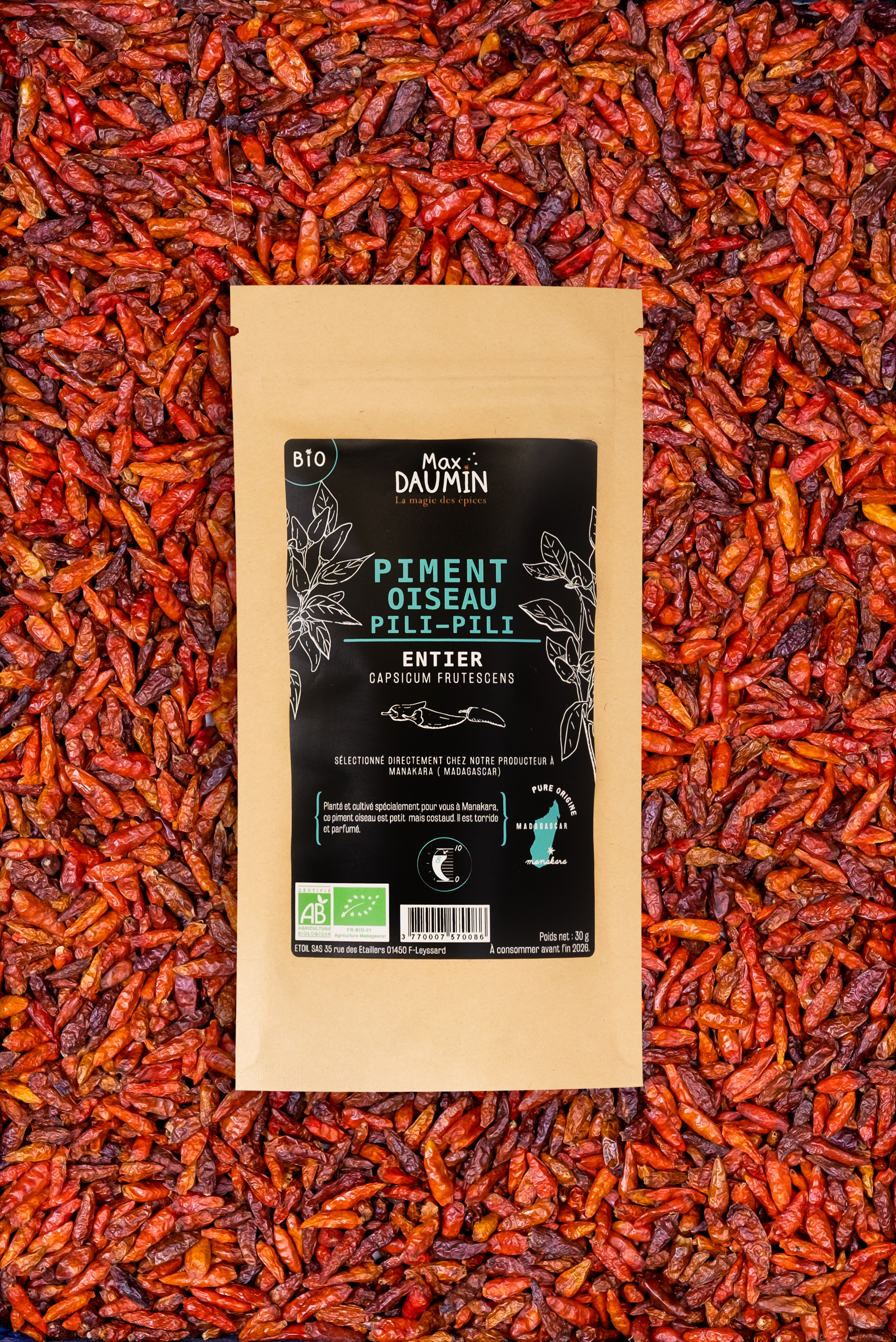 Piment Oiseau Pili Pili