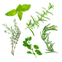 Herbes de Provence
