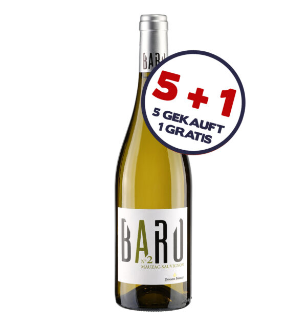 5+1 Angebot: Baro N°2