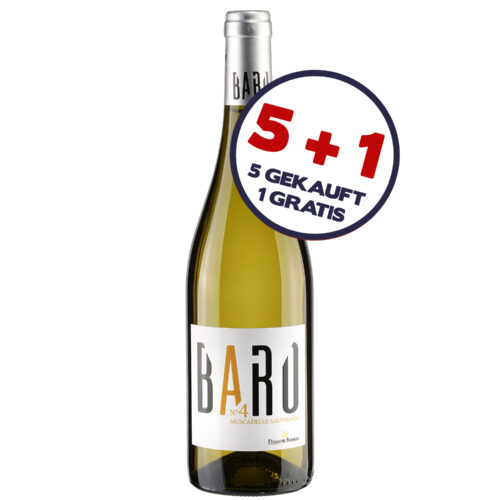 5+1 Angebot: Baro N°4