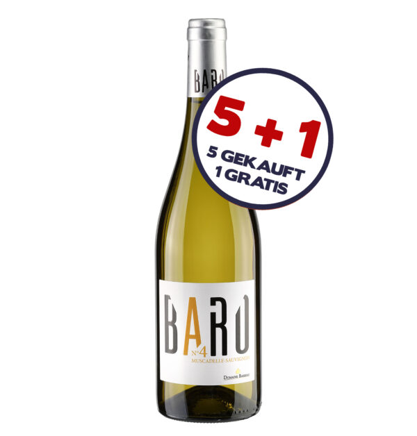 BARO-4_5+1 5+1 Angebot: Baro N°4
