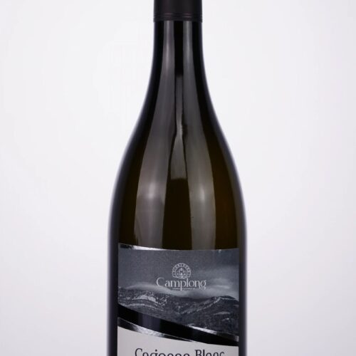 camplong-carignan-weisswein-languedoc Camplong - Vin Carignan Blanc 2023