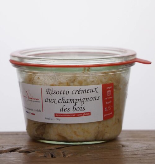 Risotto crémeux aux champignons des bois