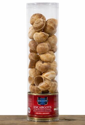 weinbergschnecken-burgund-gehaeuse Escargots Sauvages de Bourgogne (Très Gros)